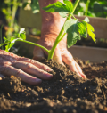 Sustainability Our approach