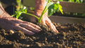 Sustainability