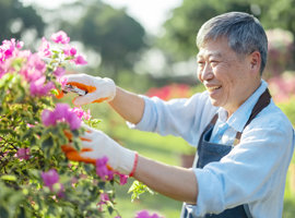 Newsroom Signpost Image